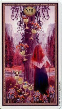 7 of Cups